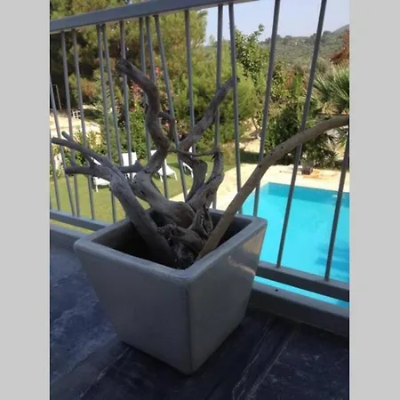 Zen De Lux Villa