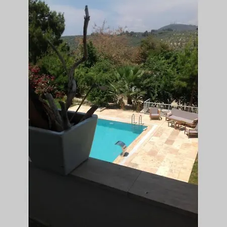 Zen De Lux Villa